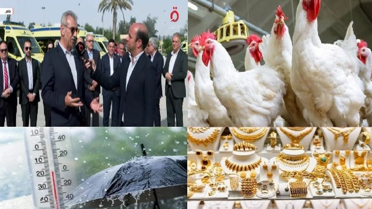 تحالفات دولية لدعم غزة وتباين ملحوظ بأسعار الدواجن والذهب في مصر اليوم